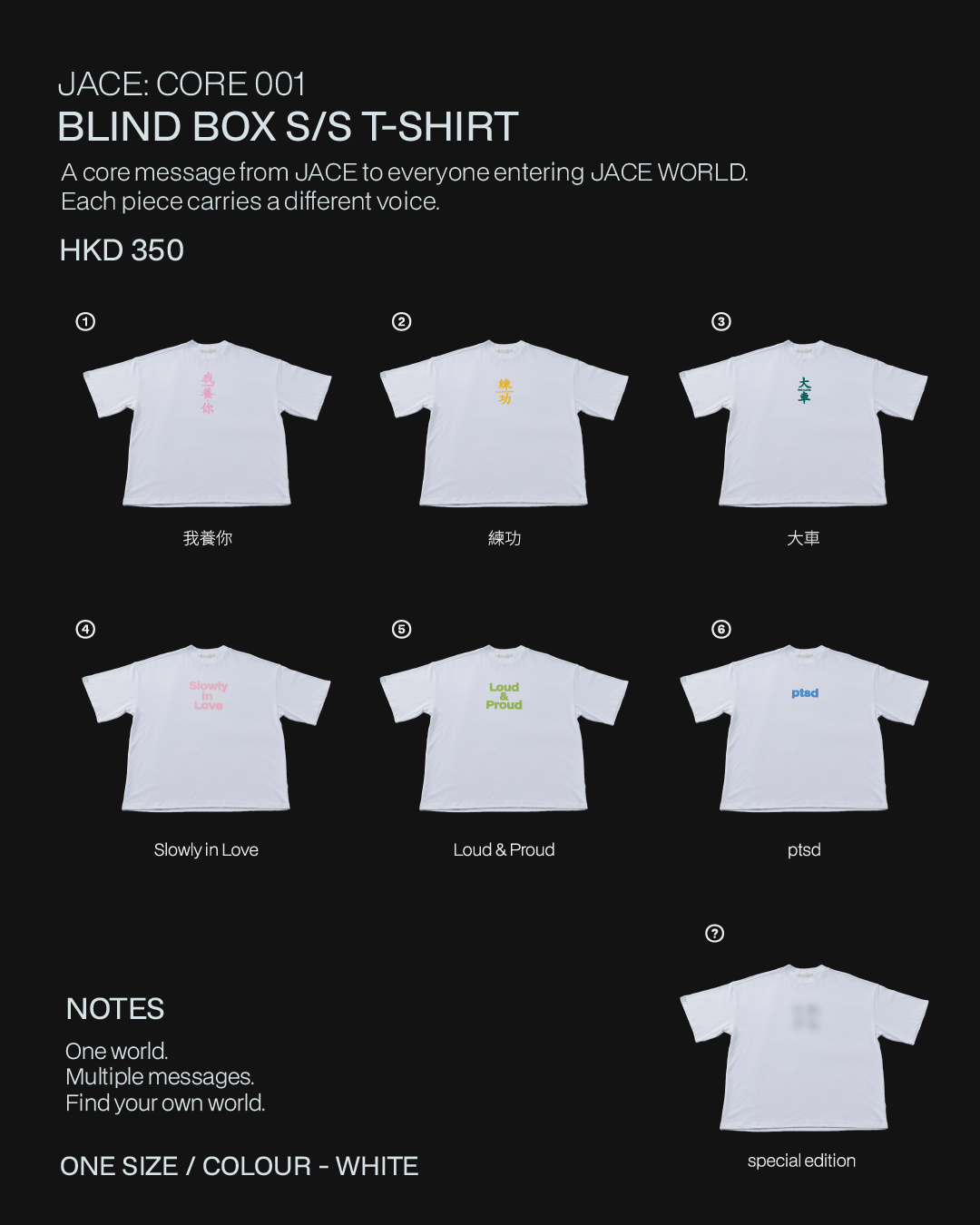 001 | BLIND BOX S/S T-SHIRT